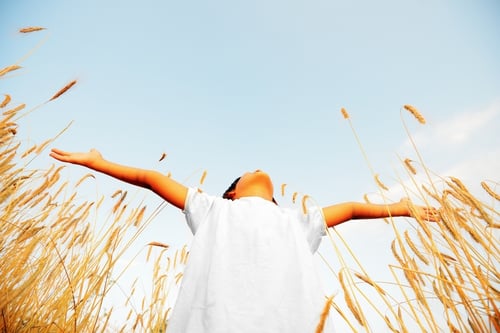 Little boy on a wheat field in the sunlight